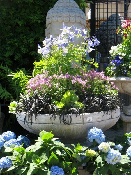 CE Pots 2012-05 005