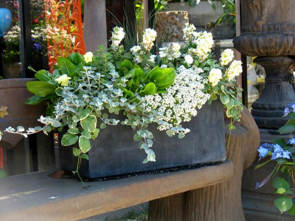 CE Pots 2012-05 008